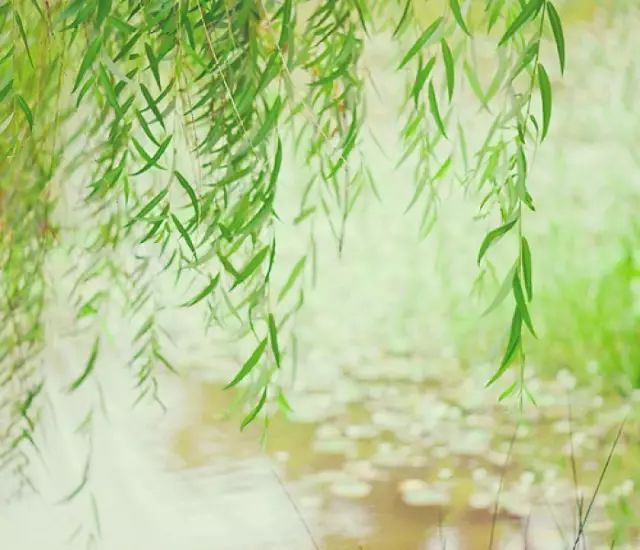 凉风吹面心清爽 垂涎三尺乐悠悠 是什么生肖，详细解答、综合解答解释落实