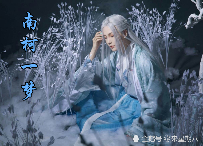 自我满足又有何用最终乍醒南柯梦是什么生肖精选解析、解释与落实、构建解答解释落实