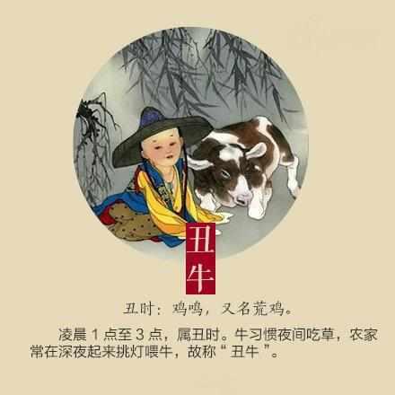 虎落平原被犬欺，古人流传有道理打一个准确生肖详细解答、全面解答解释落实