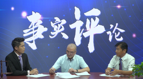 龙头老大在家闲一马当先牧羊犬是什么生肖，详细解答、专家解答解释落实