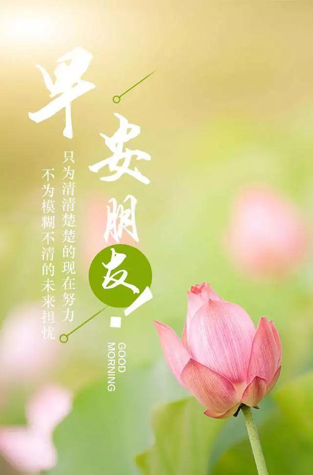 十字路口易迷失，误入歧途无所得打一个准确生肖请全面释义、解释与落实、详细解答解释落实