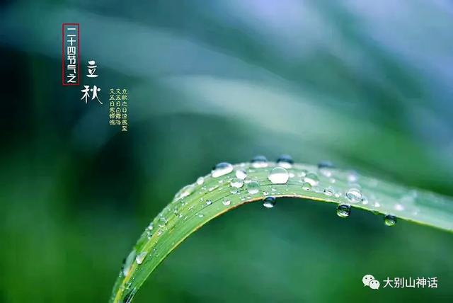 凉风吹面心清爽 垂涎三尺乐悠悠 是什么生肖，详细解答、综合解答解释落实