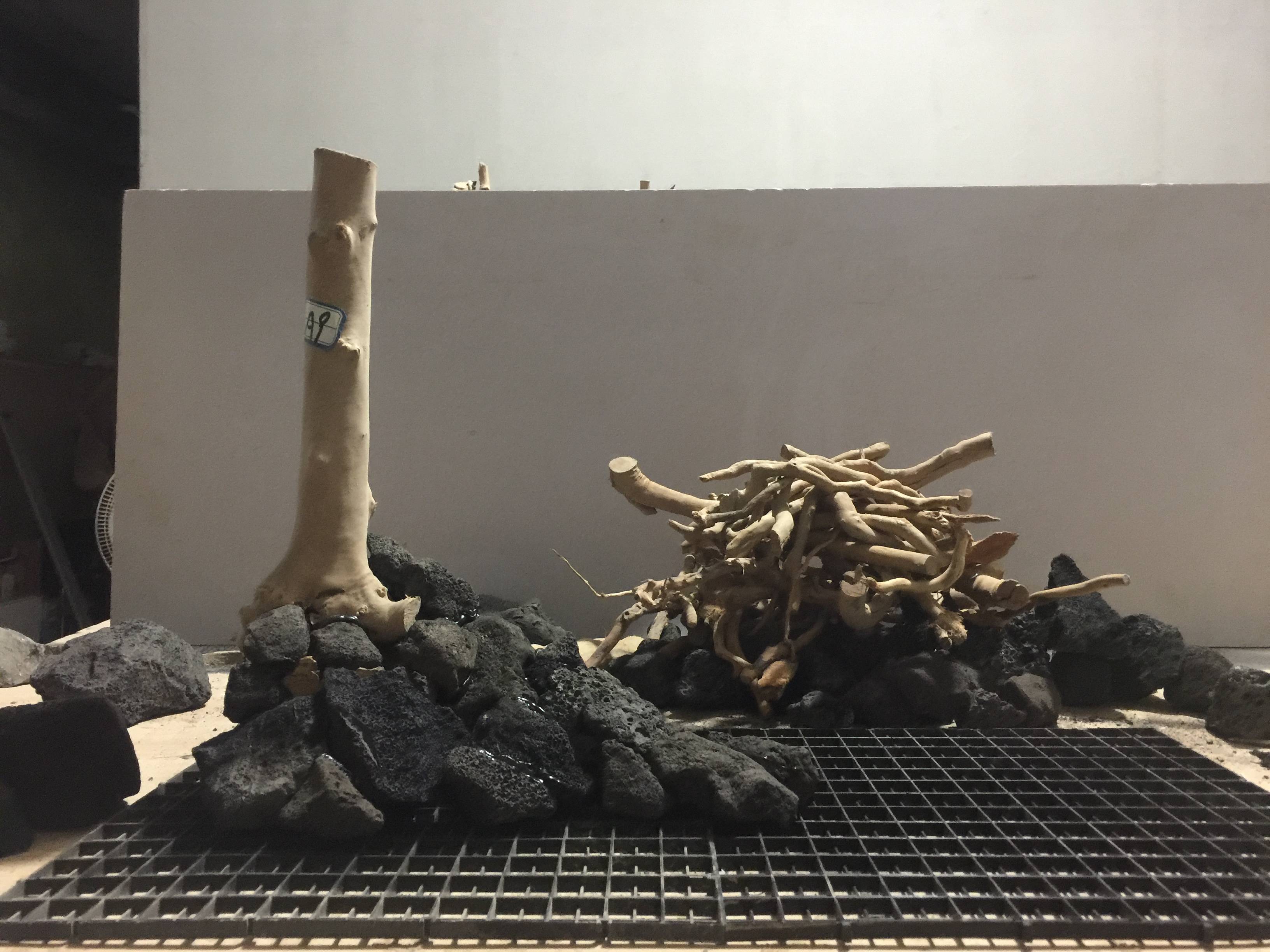 草木雕零，預垣敗瓦。臉部變化會觀察打生肖请全面2释义、解释与落实、统计解答解释落实