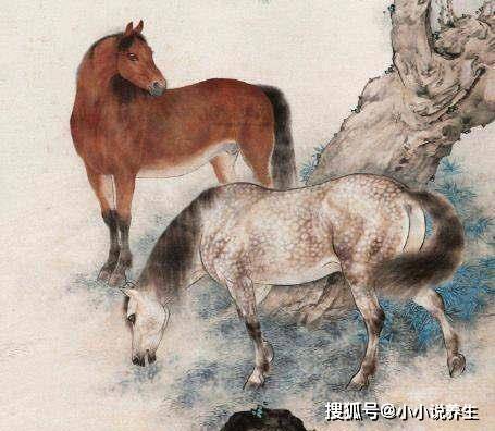 今期狗猴龙出特,四不两立长恨丽代表是指什么生肖，详细解答、时代解答解释落实