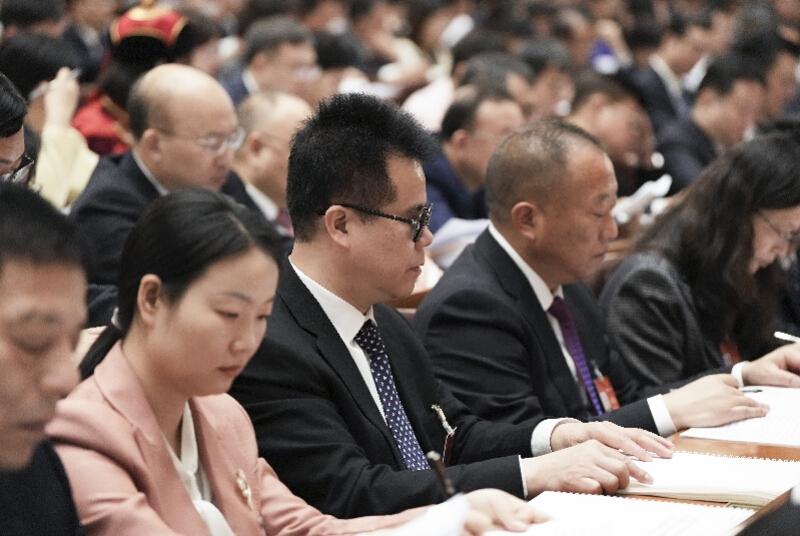 龙头老大在家闲一马当先牧羊犬是什么生肖，详细解答、专家解答解释落实